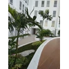 sistem kolam renang